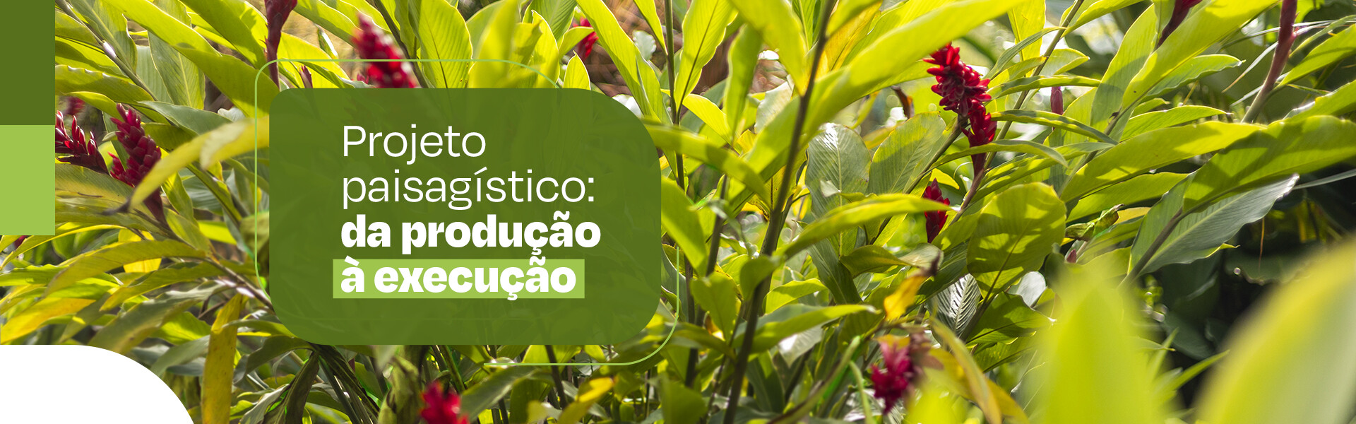 Projetos Paisagístigos