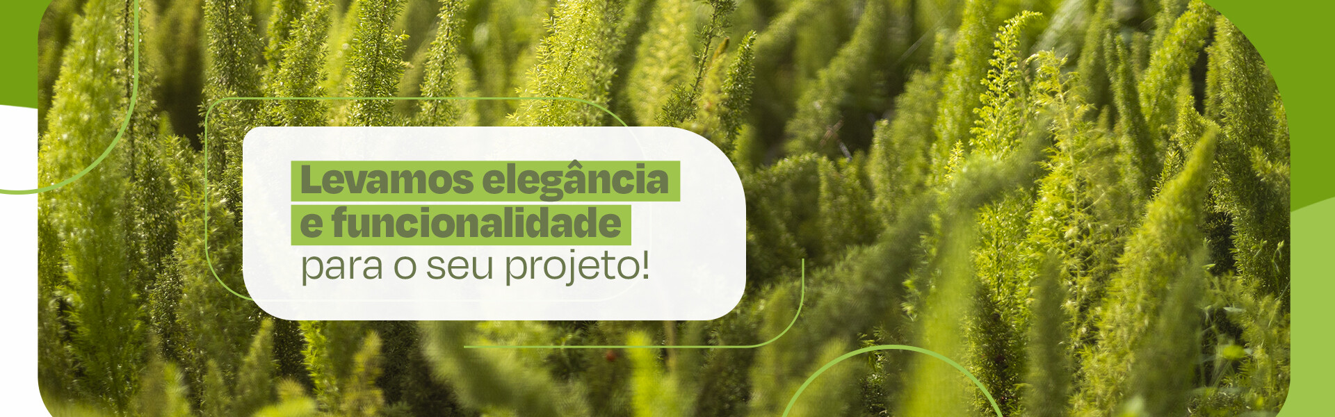 Paisagismo com elegância