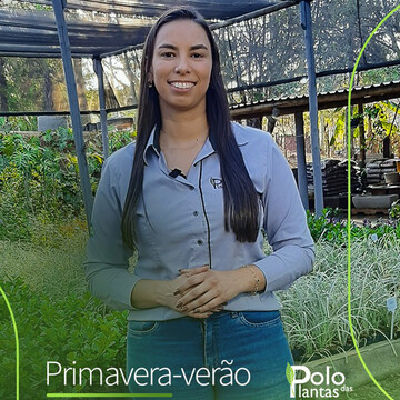 Cuidados com as plantas: Primavera-verão