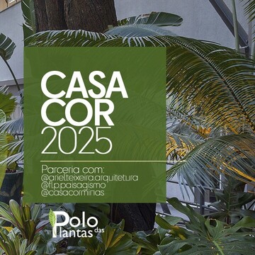 Casa Cor 2025